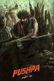 Pushpa: The Rise / Bangla Full Movie 2025 Download (HR MOVIE BAZER)
